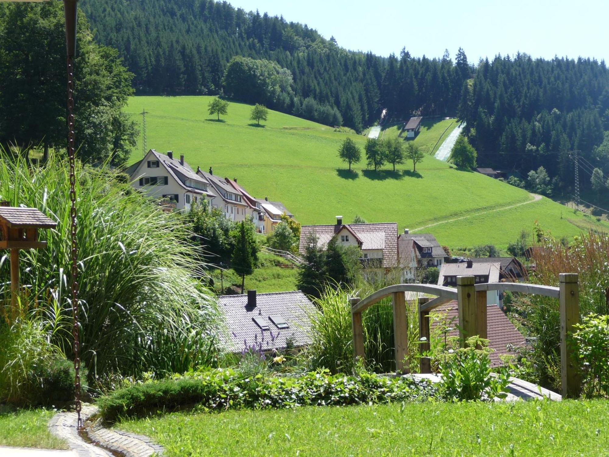 Flair Hotel Adlerbad باد بيترستال غريسب المظهر الخارجي الصورة