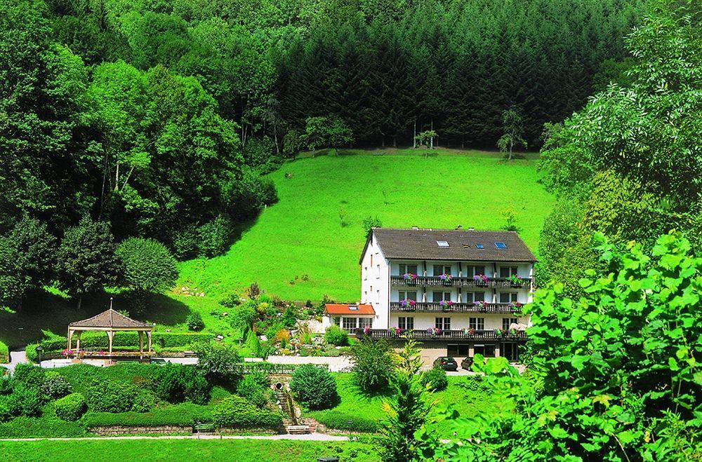 Flair Hotel Adlerbad باد بيترستال غريسب المظهر الخارجي الصورة