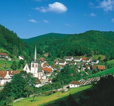 Flair Hotel Adlerbad باد بيترستال غريسب المظهر الخارجي الصورة